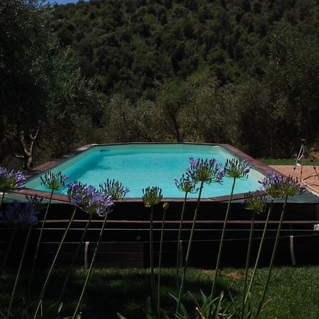 Il Pino Bed & Breakfast Vetulonia Eksteriør bilde
