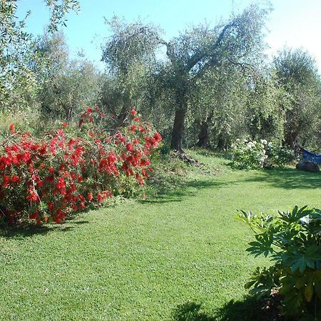 Il Pino Bed & Breakfast Vetulonia Eksteriør bilde