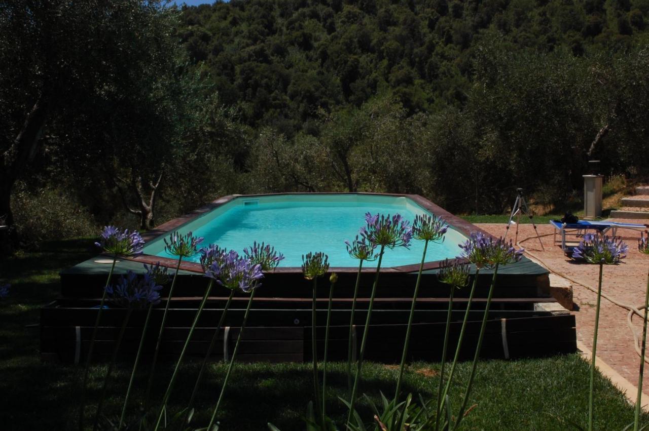 Il Pino Bed & Breakfast Vetulonia Eksteriør bilde