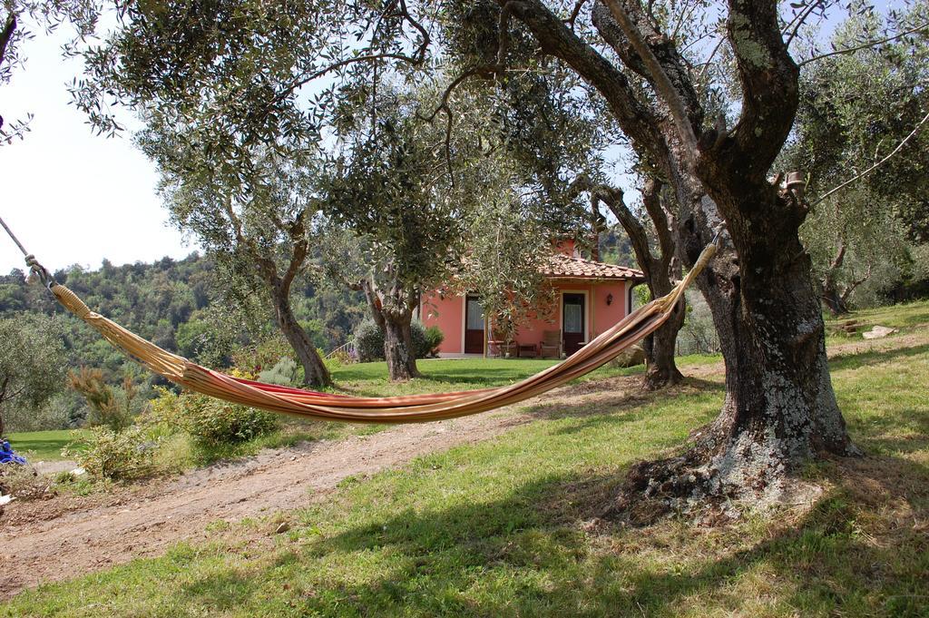 Il Pino Bed & Breakfast Vetulonia Eksteriør bilde