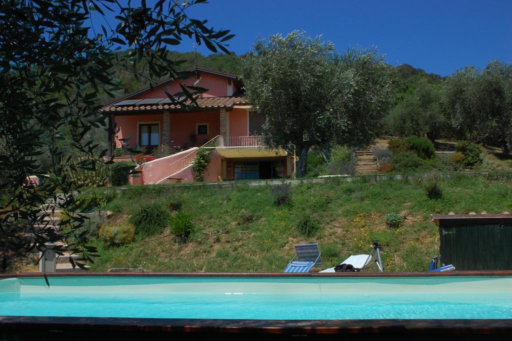 Il Pino Bed & Breakfast Vetulonia Eksteriør bilde