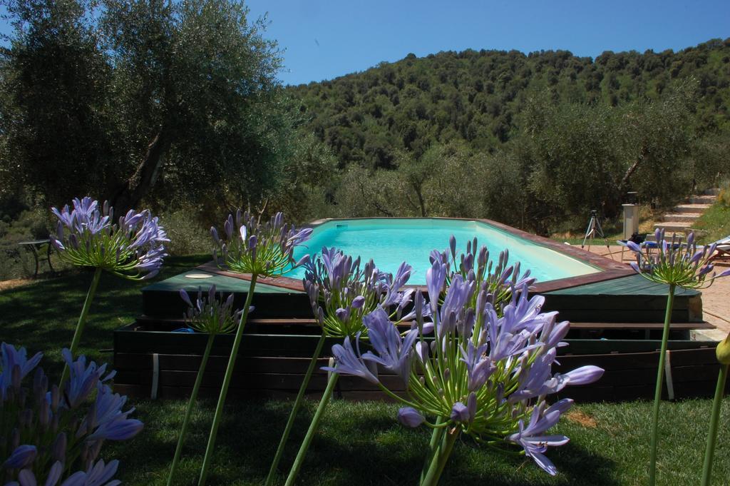 Il Pino Bed & Breakfast Vetulonia Eksteriør bilde